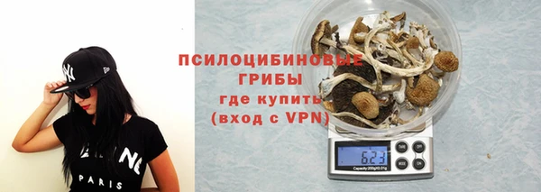 гидра Алексин