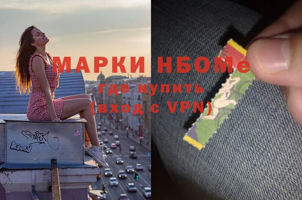 гидра Алексин