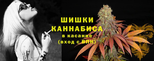 гашик Алексеевка