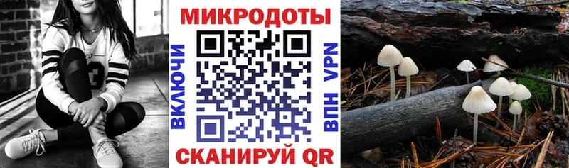 ОМГ ОМГ маркетплейс  купить закладку  Богданович  Псилоцибиновые грибы Psilocybe 